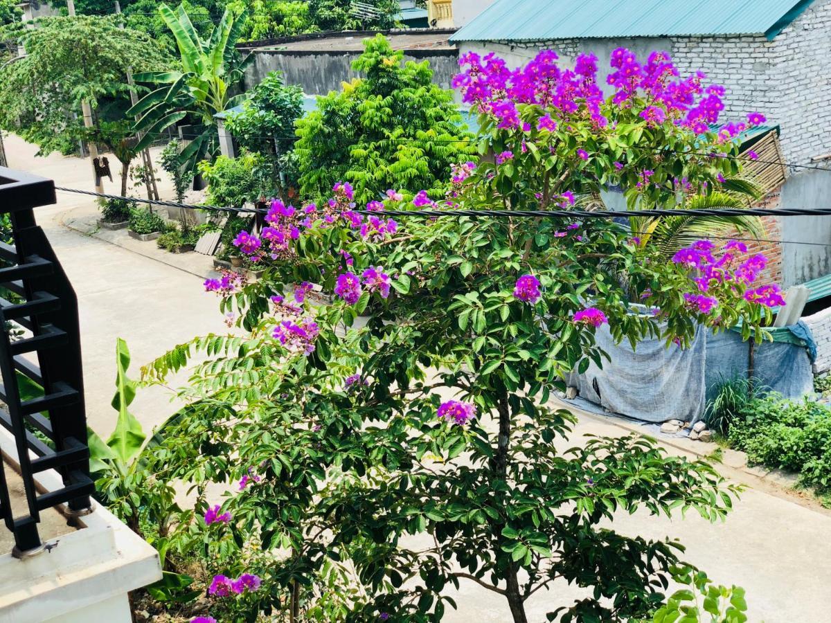 Ninh Binh Brother's Homestay Ngoại thất bức ảnh