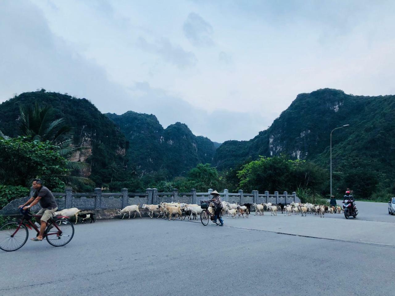 Ninh Binh Brother's Homestay Ngoại thất bức ảnh