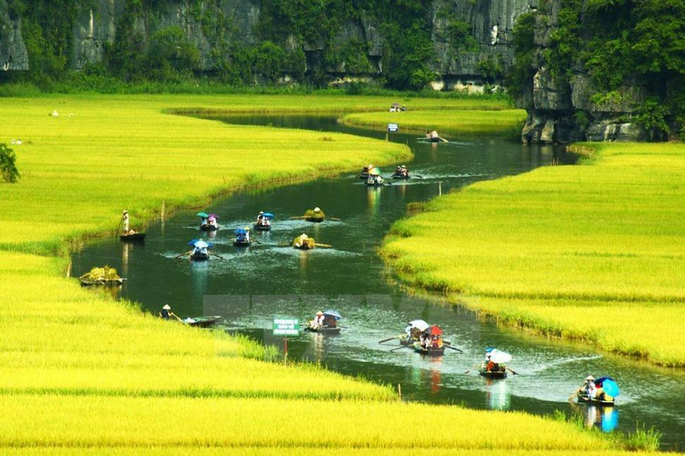 Ninh Binh Brother's Homestay Ngoại thất bức ảnh